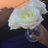 SabrinaA_seh's profile image