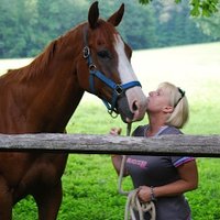 Pam Buchholz-Restless Filly (@restlessfilly) 's Twitter Profile