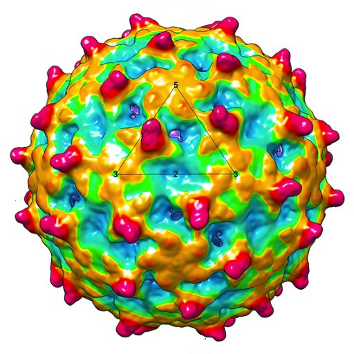 The MVP is the interdepartmental gateway to #virology #research and training at @UWMadison