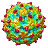 MadisonVirology's profile picture. The MVC is the interdepartmental gateway to #virology #research and training at @UWMadison