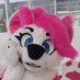Wolfie (@wolfie_the_fur) Twitter profile photo Wolfie (@wolfie_the_fur) Twitter profile photo