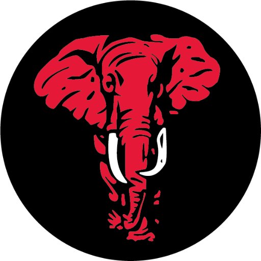 Graphic Elephants