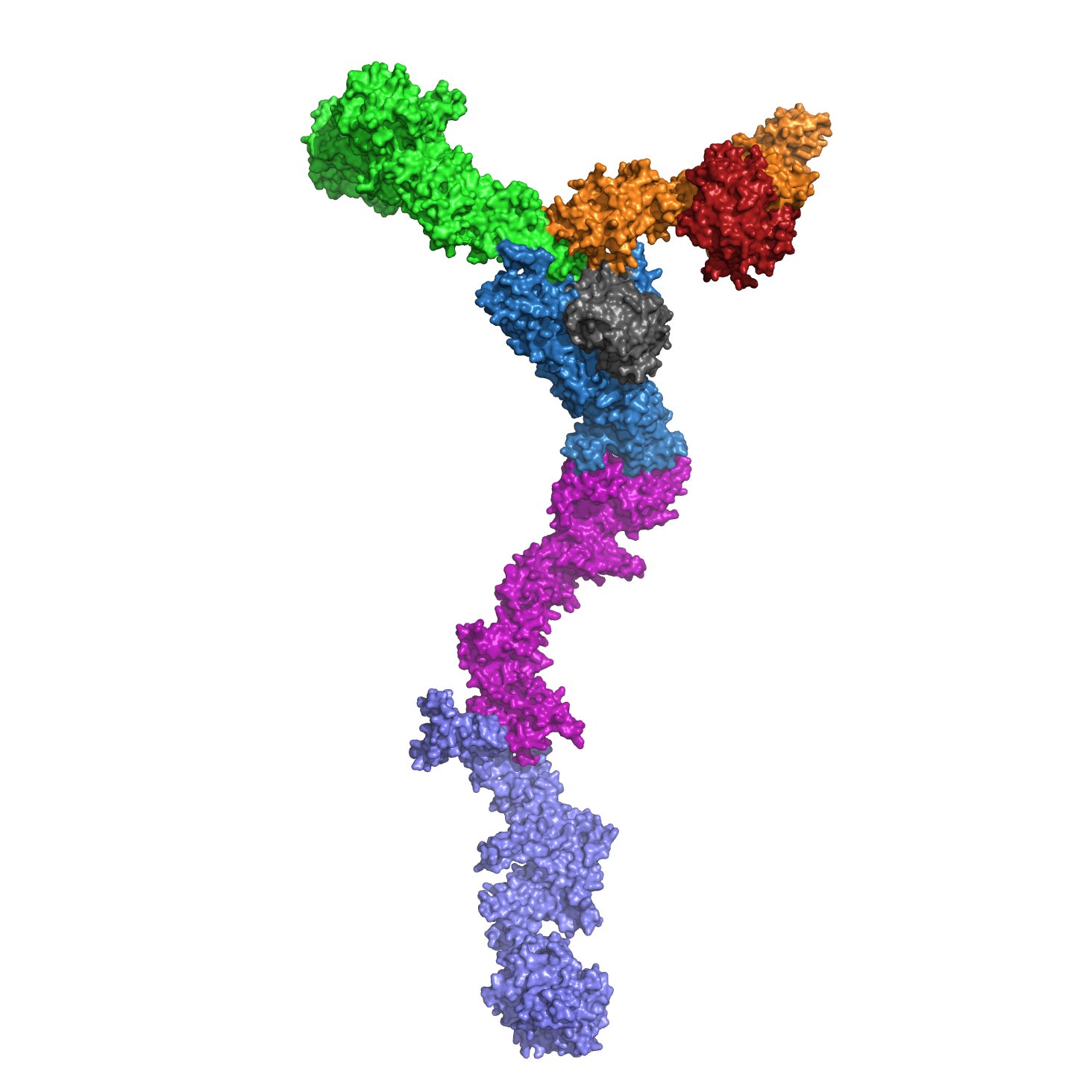 Nucleo-cytoplasmic communication. MIT, Department of Biology @MITBiology #structuralbiology #cellbiology #cryoEM #Xrays