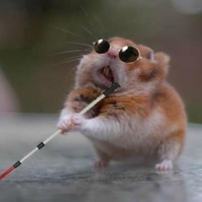 redblann's profile picture. fuck