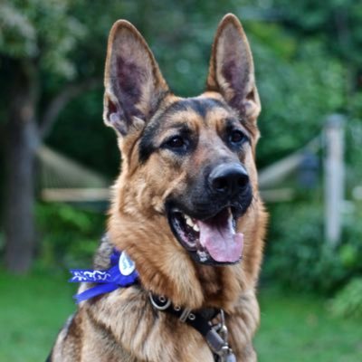 Juders17's profile picture. Mom • Ringette Coach • Hockey Mom • German Shepherd Owner • Gardener