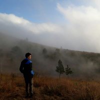 Misbahur Romadlon (@misbahurromadl2) 's Twitter Profile