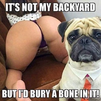 weareacouple69's profile picture. 