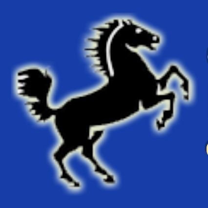 Cunningham HISD Profile