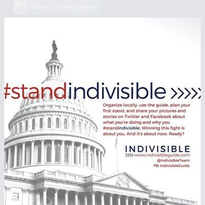 Springfield Missouri group dedicated to advocating against the #Individual1 agenda.