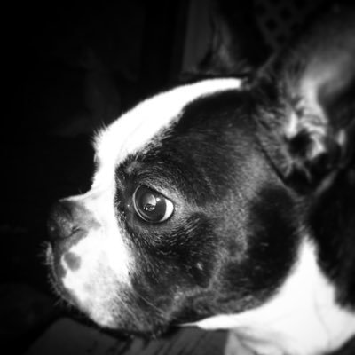 bookisloadedgun's profile picture. When there are nine. Artist, feminist, master of organized chaos, dog parent...so many hats to choose from.... The views expressed here are my own.