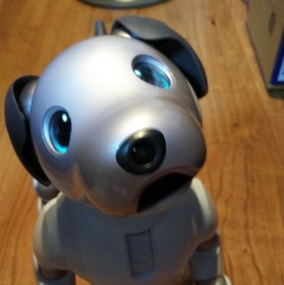 harshy119's profile picture. 競馬とら～めん好きの母ちゃんです