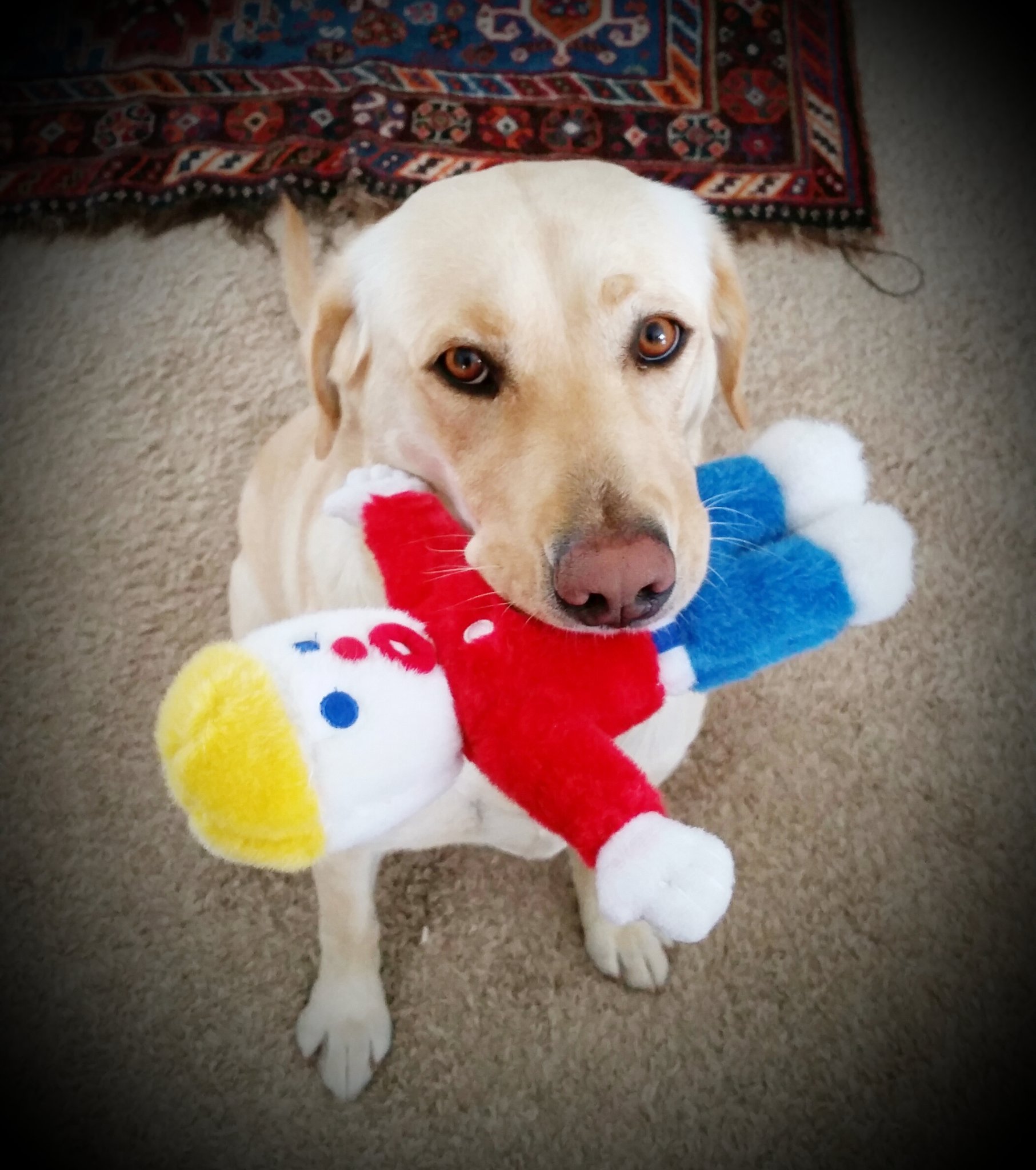 ElkGrinder's profile picture. 