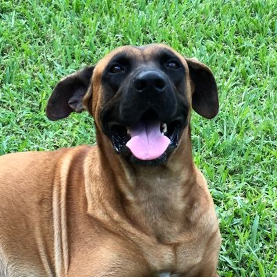 Chevychase321's profile picture. 