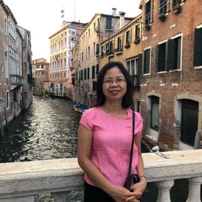Program Analyst UNDP Viet Nam #anti-corruption, #business integrity #access to justice #rule of law