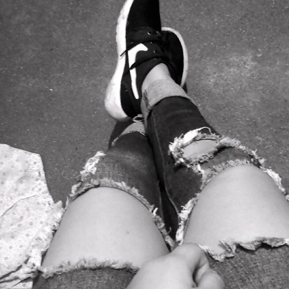 meowphal's profile picture. 