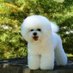 Karen Tormey MD FACS ๐บ๐ธ๐ฆ๐บ (@tormeykaren) Twitter profile photo Karen Tormey MD FACS ๐บ๐ธ๐ฆ๐บ (@tormeykaren) Twitter profile photo