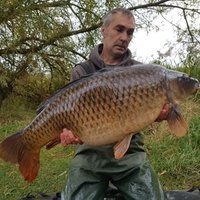 Sean Scott (@seansco12182877) 's Twitter Profile