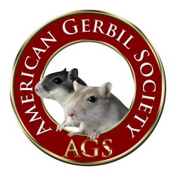 The American Gerbil Society (AGS) is a non-profit organization providing support & education for the ethical and humane treatment of gerbils and other rodents.