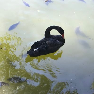 jshah29_'s profile picture. Lazy. Optimist. Curious.