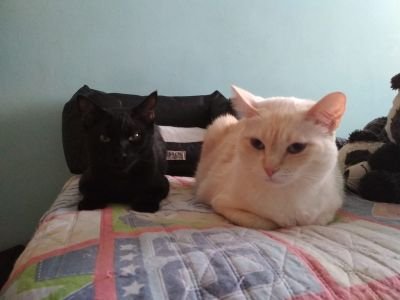 jordisonia's profile picture. 