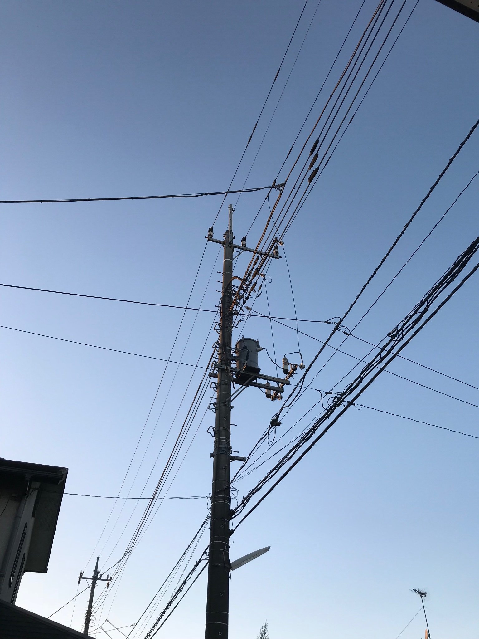 PPxeZHmNBjEVWPR's profile picture. 