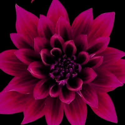 LOPEZJOLIE3's profile picture. ACTOR