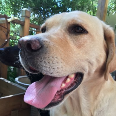 sunlu29842410's profile picture. an old man