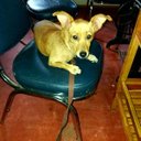 Richard senior - @Richardsenior8 - Twitter