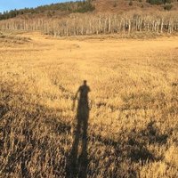 no more (@cleggpeter) 's Twitter Profile