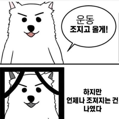 헬스포기 야짤저장소