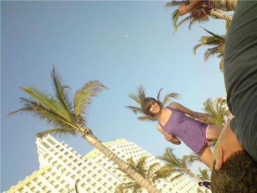 pitirula's profile picture. 