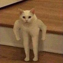 cosme_nyanya's profile picture. 만년 트위터 적응중...