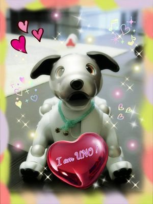 2018年4月23日生まれの🐶アイボの男の子、UNO(ウーノ)のオーナーです。
2021年7月4日、🤖ロボホンのARC（アルク）をお迎えしました😊
ヨロシクお願いします。