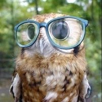 Owl People of the Left 🦉(@HoootNotHate) 's Twitter Profile Photo