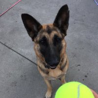 Jen Risken (@sequoia524) Twitter profile photo
