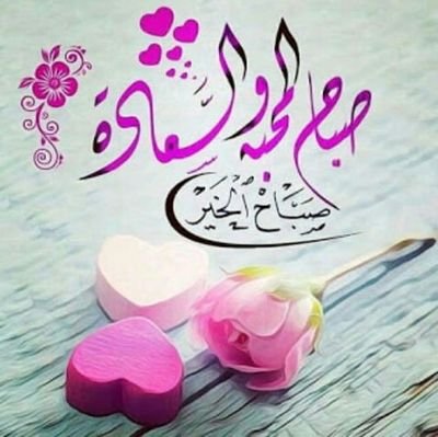 HOBAxhNSQHwD7bJ's profile picture. ‏‏‏صداقة