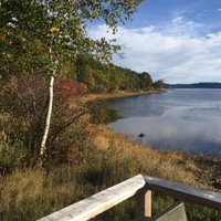Georgina Lake (@lake_georgina) 's Twitter Profile Photo Georgina Lake (@lake_georgina) 's Twitter Profile Photo