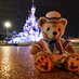 Robert and Duffy`s Adventures at Disneyland Paris (@bobcgn) Twitter profile photo