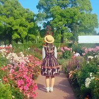 加藤めぐみ🍵 (@_gumi_cat_) 's Twitter Profile