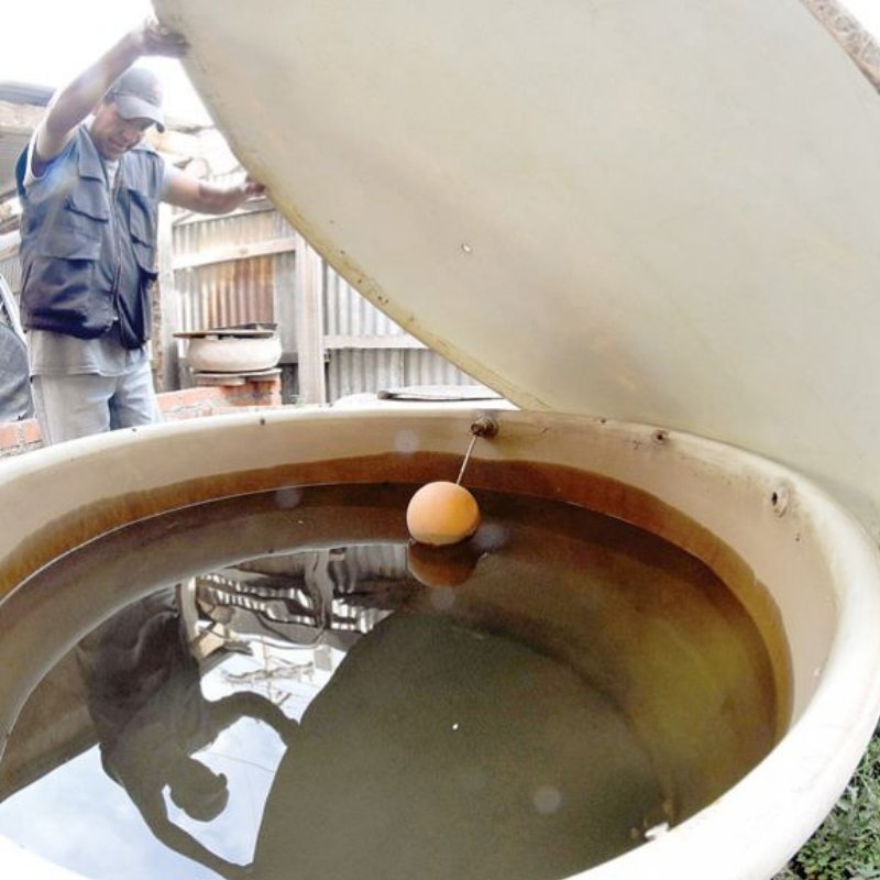 tanqueslimpios1's profile picture. 