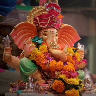 AnithaDR5's profile picture. 