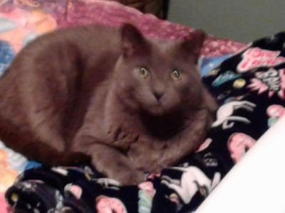 VickieE49046565's profile picture. 