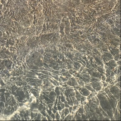 oceanwindrift's profile picture. 