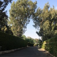 Elham (@elham_ba9) Twitter profile photo