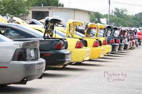 Ford Mustang Enthusiast - Photographer - Learning Something New Everyday