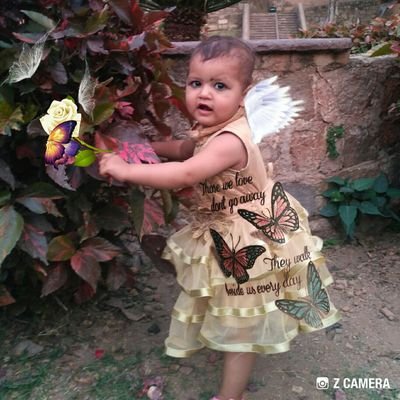 MohammadAlimKh7's profile picture. 