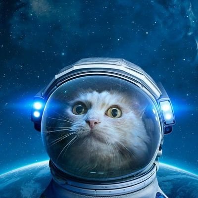 We are not alone in the universe