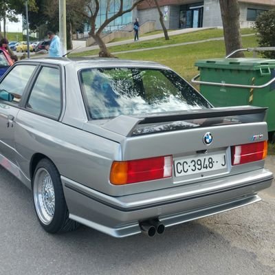 RafaAleeen's profile picture. 