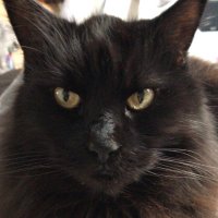 linux (@linux17404622) 's Twitter Profile