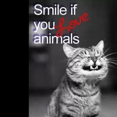 Animal lover. Being a voice for the voiceless. Vegetarian. Rebel with a cause♡
Animal Utopia , helping people to help animals.